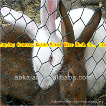 hot selling !!!!! anping KAIAN rabbit cage wire mesh(30 years factory)